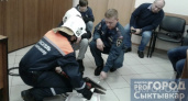 Спасатели сняли шесть осиных ульев под Сыктывкаром