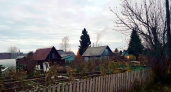 "Вводится полный запрет": владельцев дач и огородов в России огорошили новым жестким правилом