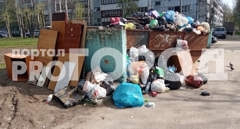 "Народный контроль": сыктывкарцы жалуются на склады мусора и веток в городе