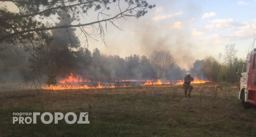 В двух районах Коми объявили об угрозе пожароопасности V класса