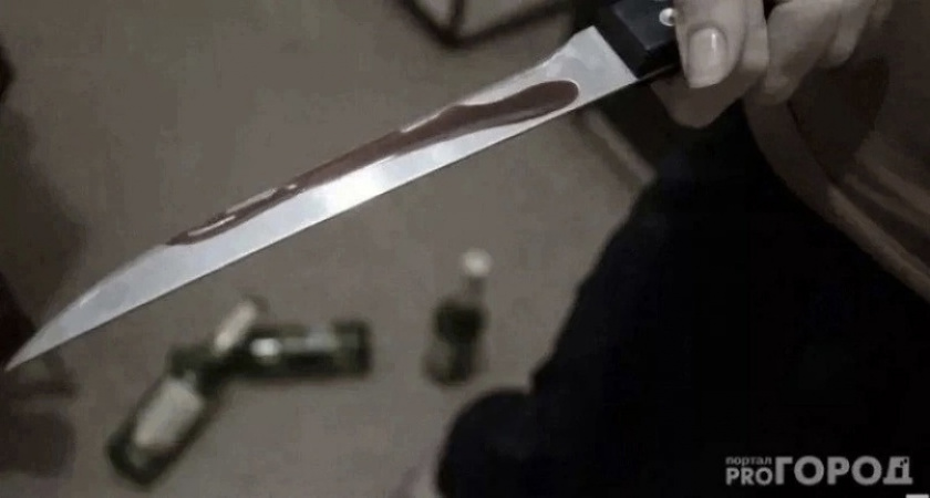 Житель Коми убил свою подругу ударом ножом в сердце