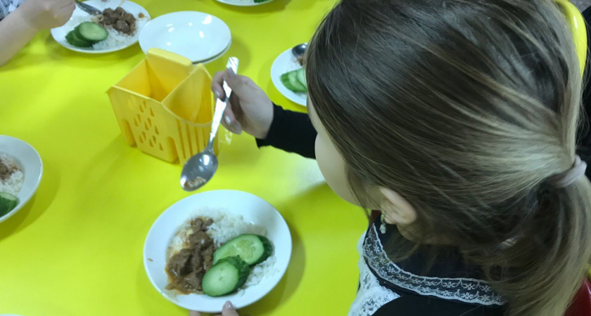 В Коми могут начать бесплатно кормить школьников из многодетных семей