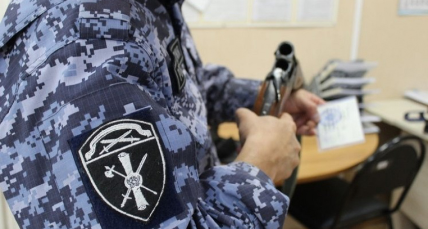 В Коми изъяли пять единиц оружия и выявили 11 нарушений в области их оборота