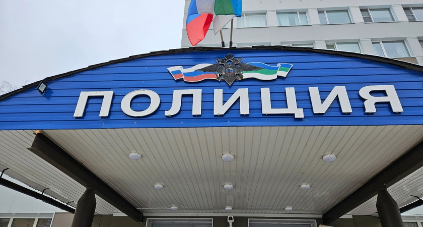 Житель Сыктывкара отдал мошенникам больше 700 тысяч рублей при "покупке" снегохода