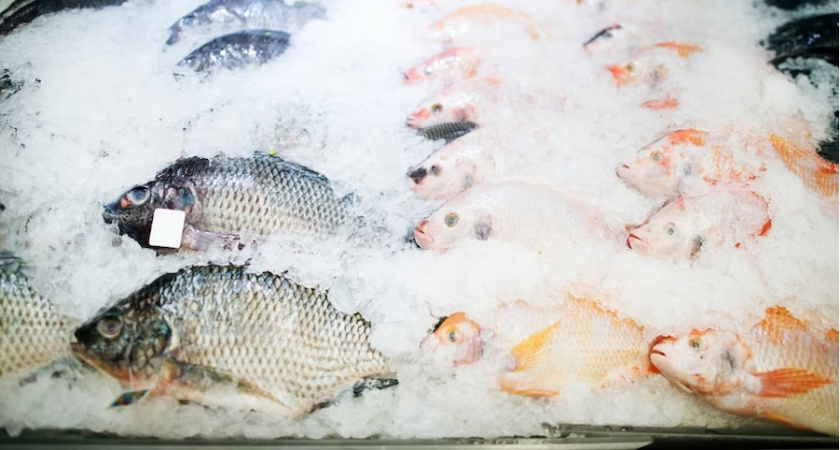 Смертельно опасное содержание ртути: эта рыба гробит печень, мозг и сердце
