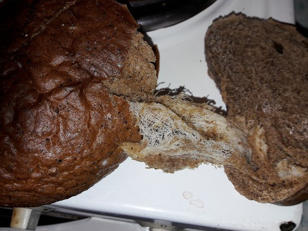 Житель Коми обнаружил в буханке хлеба отвратительную «начинку» (фото)