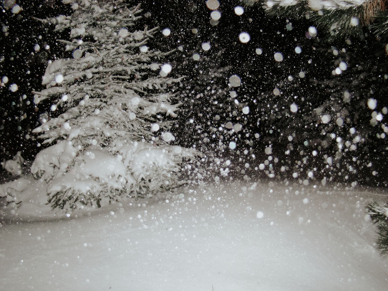 Погода в Сыктывкаре 2 марта: слабый ветер и слабый снег