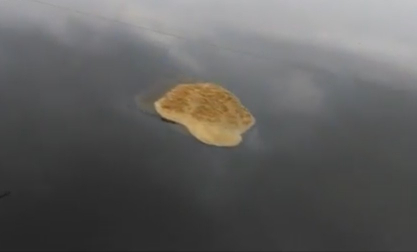 Сыктывкарец снял на видео жуткую желтую пену на реке