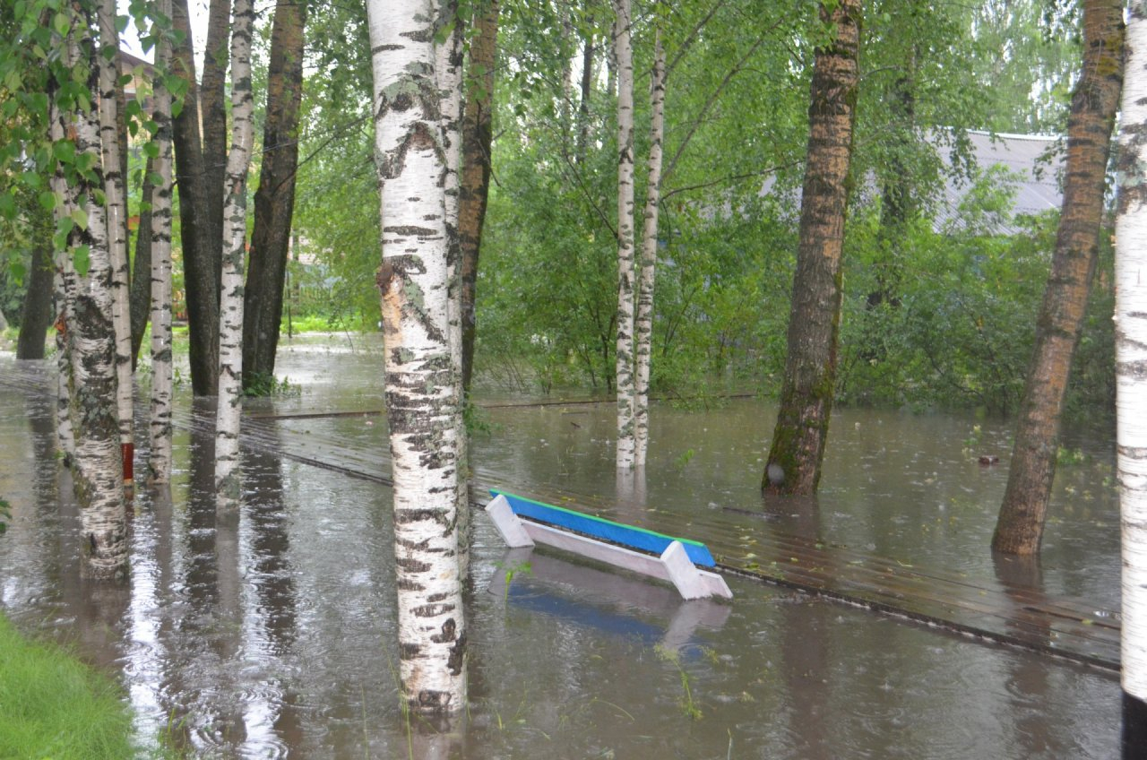 В Коми из-за потопа пострадала библиотека