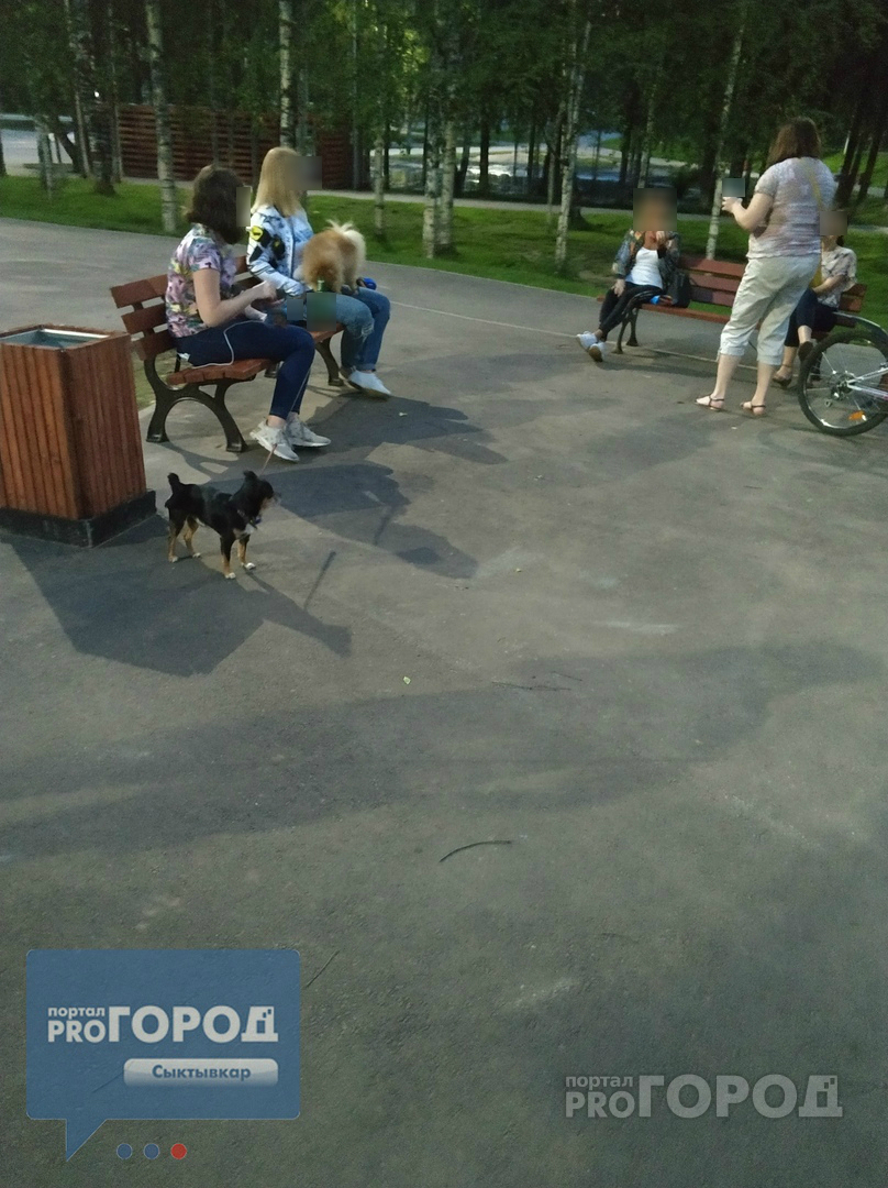 В Сыктывкаре компания девушек устроила в парке «пивнушку» (фото)