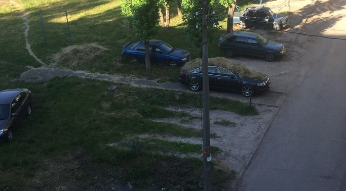 В Сыктывкаре прохожие устроили на машине наглого парковщика сеновал