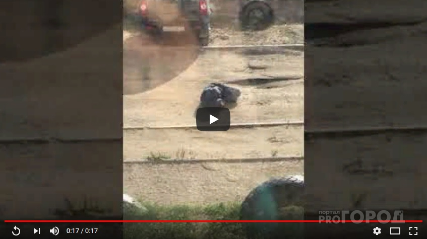 В Сыктывкаре мужчина лежал посреди дороги, его едва не сбили машины (видео)