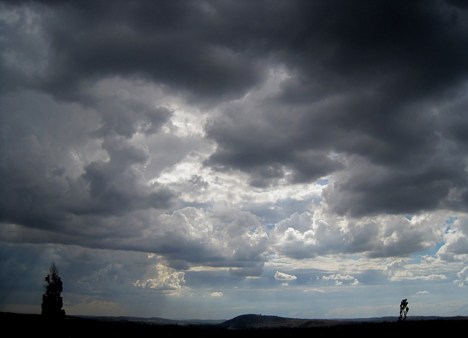 Погода в Сыктывкаре 21 августа: пасмурная погода продержится весь день, но воздух будет теплым