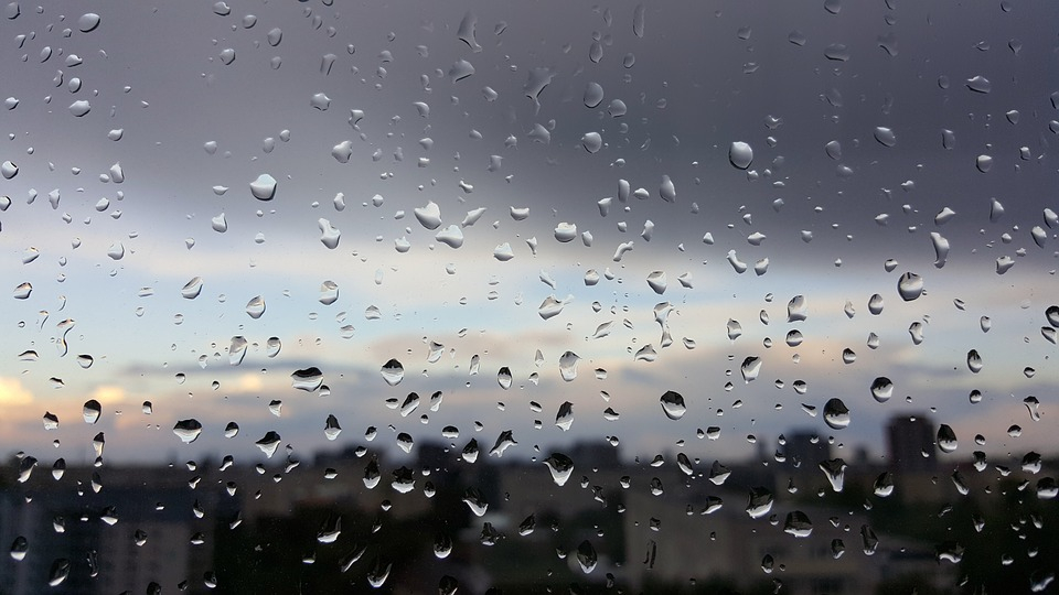 Погода в Сыктывкаре 23 августа: весь день будет дождливо и холодно