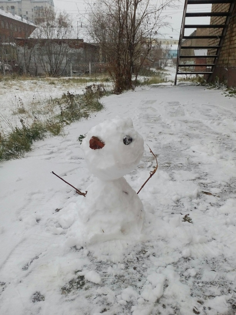 В Коми выпал первый снег: подборка сказочных фото и видео