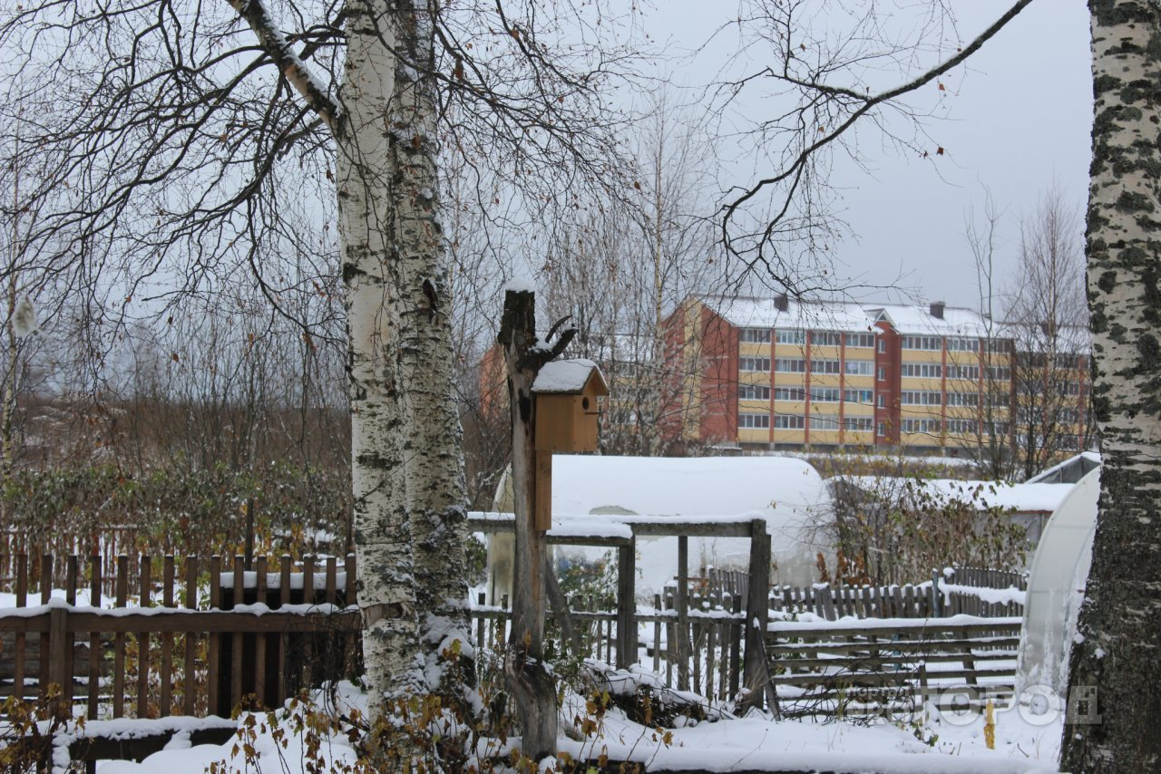Зима наступила: синоптики рассказали, какая погода будет в Сыктывкаре в выходные