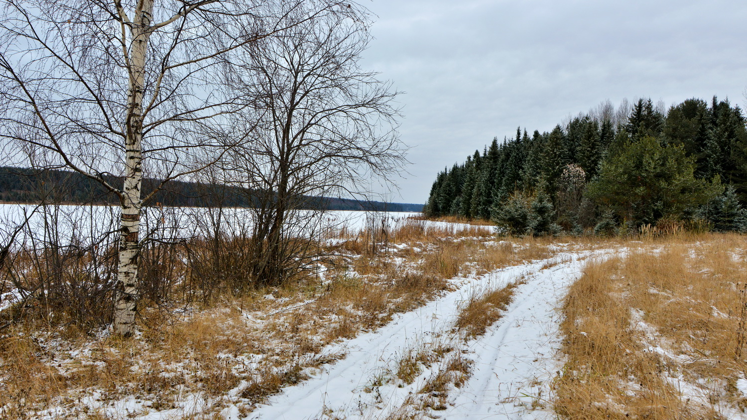 Погода в Сыктывкаре на 13 ноября: потепление и слабый снег