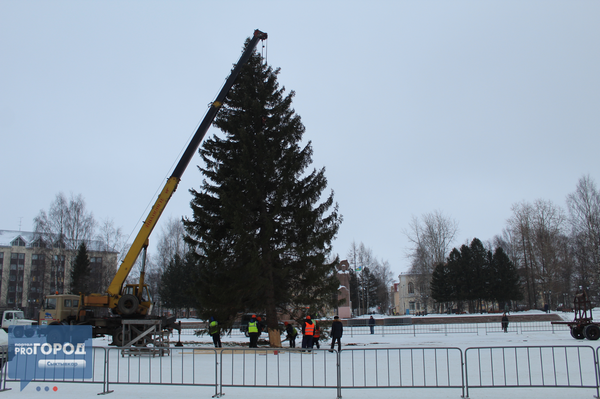 На главную площадь Сыктывкара привезли новогоднюю елку (фото)