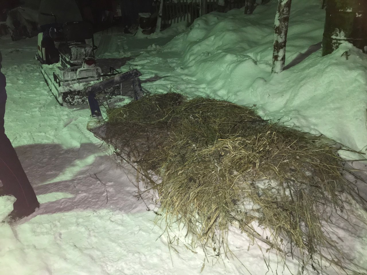 В Коми сильно пострадал пассажир саней, которые отцепились от снегохода