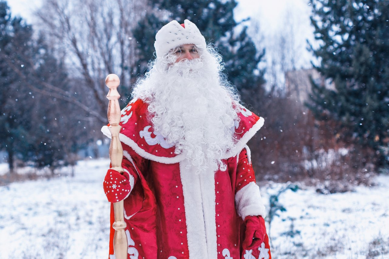 Сыктывкарский Дед Мороз рассказал, сколько он зарабатывает под Новый год