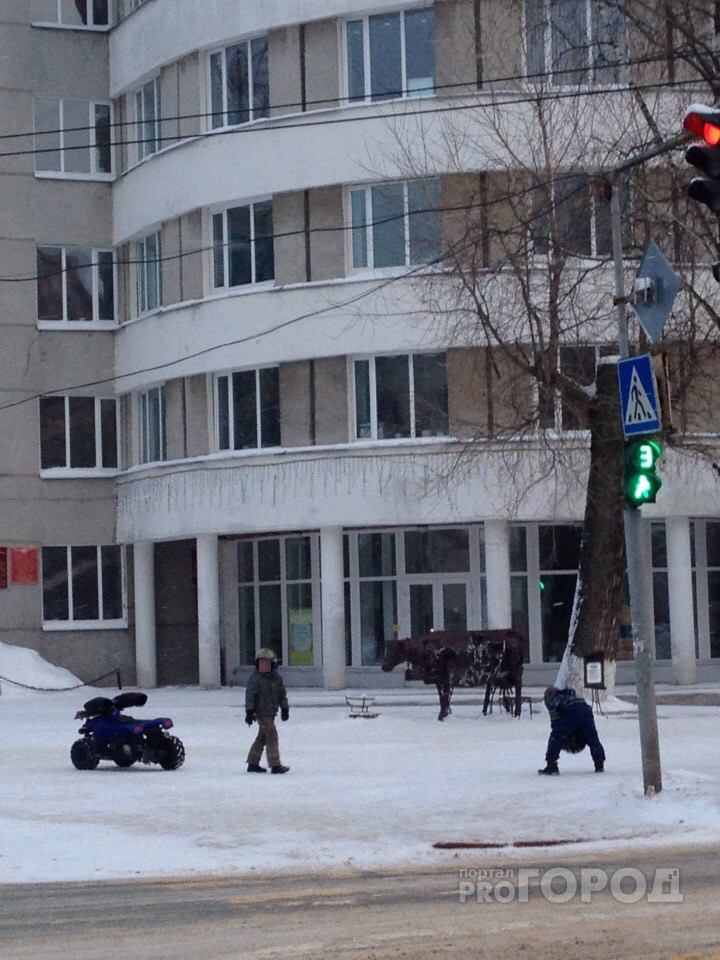 Сыктывкарцы: «Дети как угорелые носятся по городу на квадроциклах» (фото)