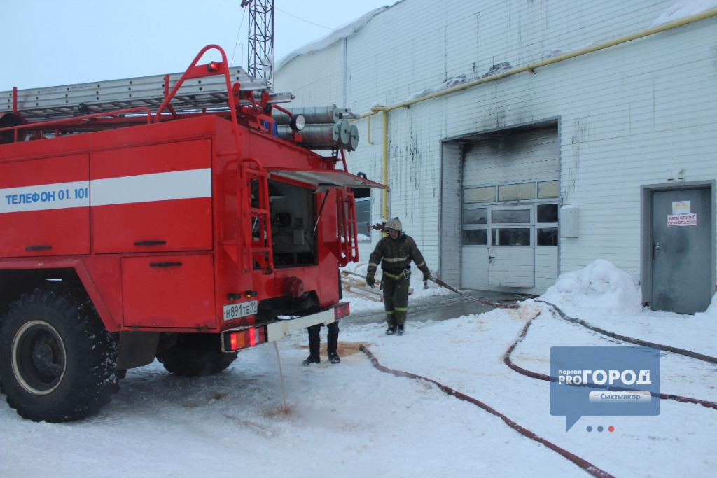 В Коми в огне сгорели машина и снегоход