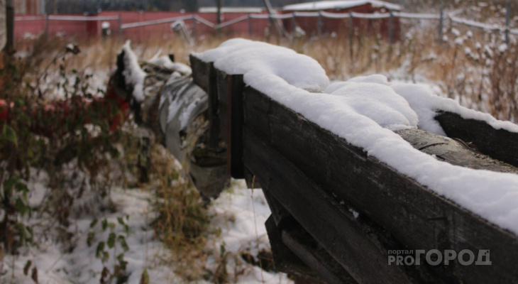 Погода в Сыктывкаре на 24 января: морозы, наконец, прекратятся