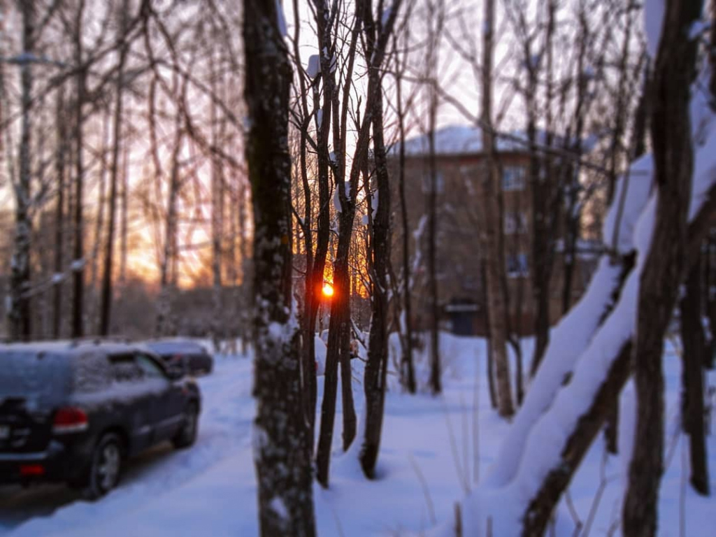 Погода в Сыктывкаре на 17 февраля: и снова снегопад