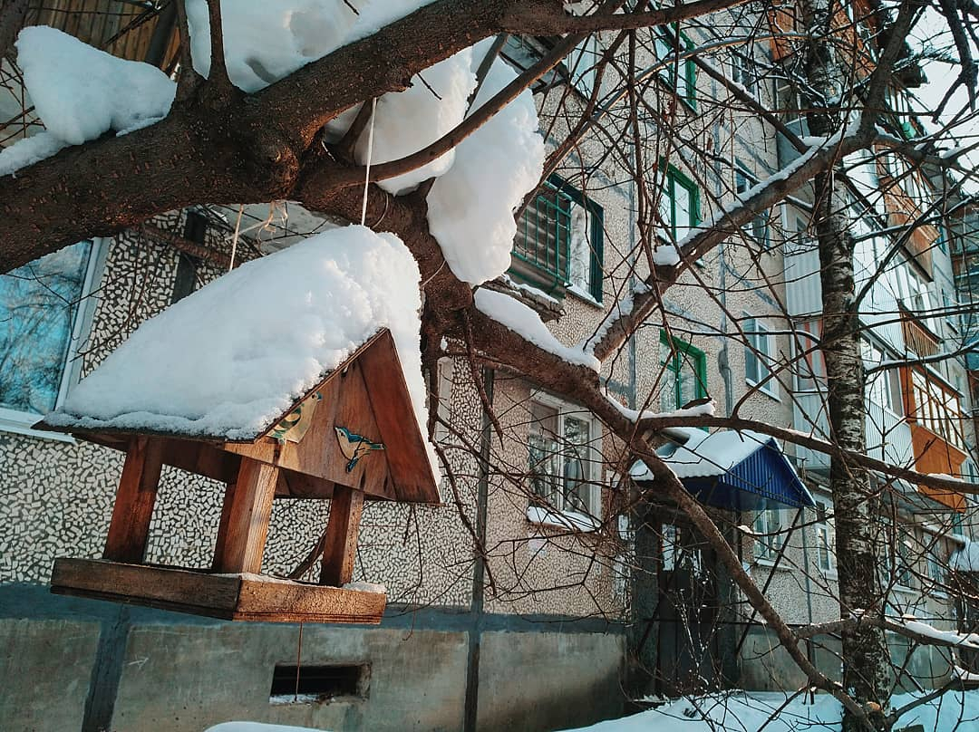Фото дня: скворечник под снежной шапкой в весеннем Сыктывкаре