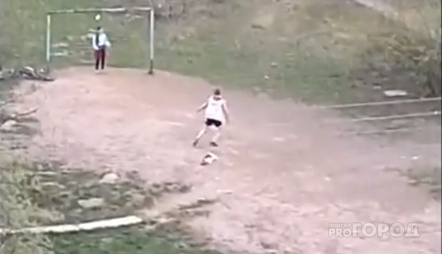 В Сыктывкаре девочка играла в футбол и словно тряпку таскала за собой кота на поводке (видео)