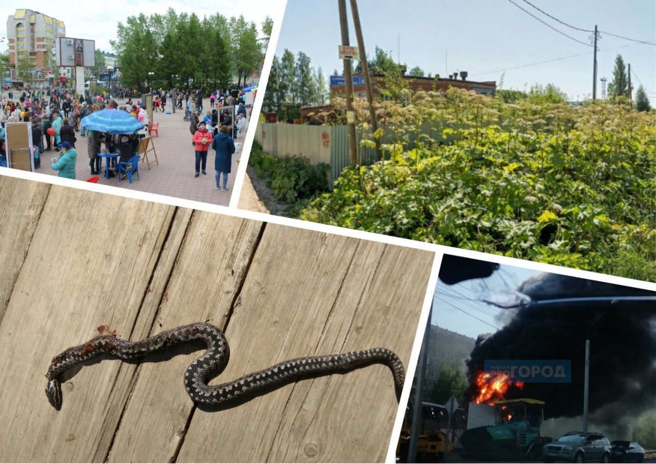 Итоги недели в Коми: загадочное исчезновение, змеи под Сыктывкаром и «грешной» митинг