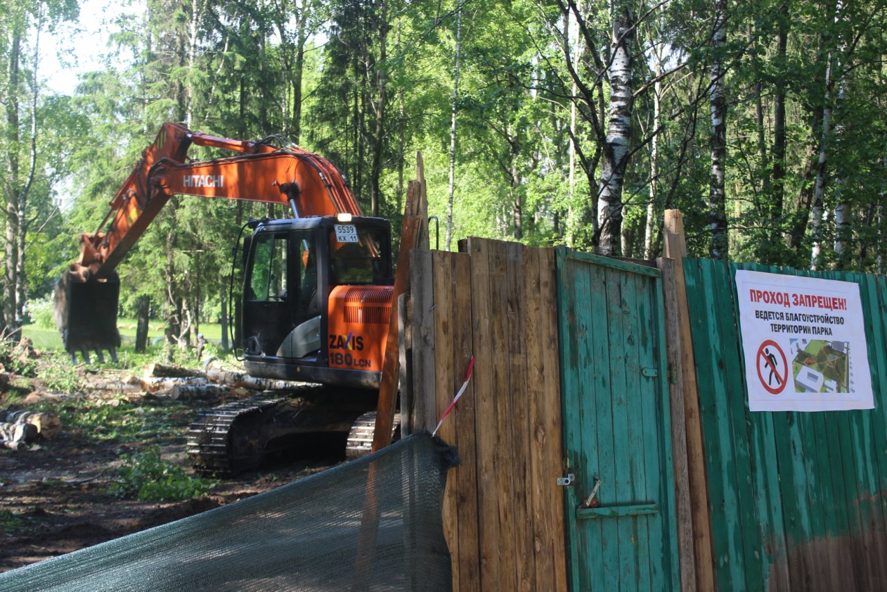 В сыктывкарском сквере в микрорайоне Строитель вырубят более 100 деревьев и кустов