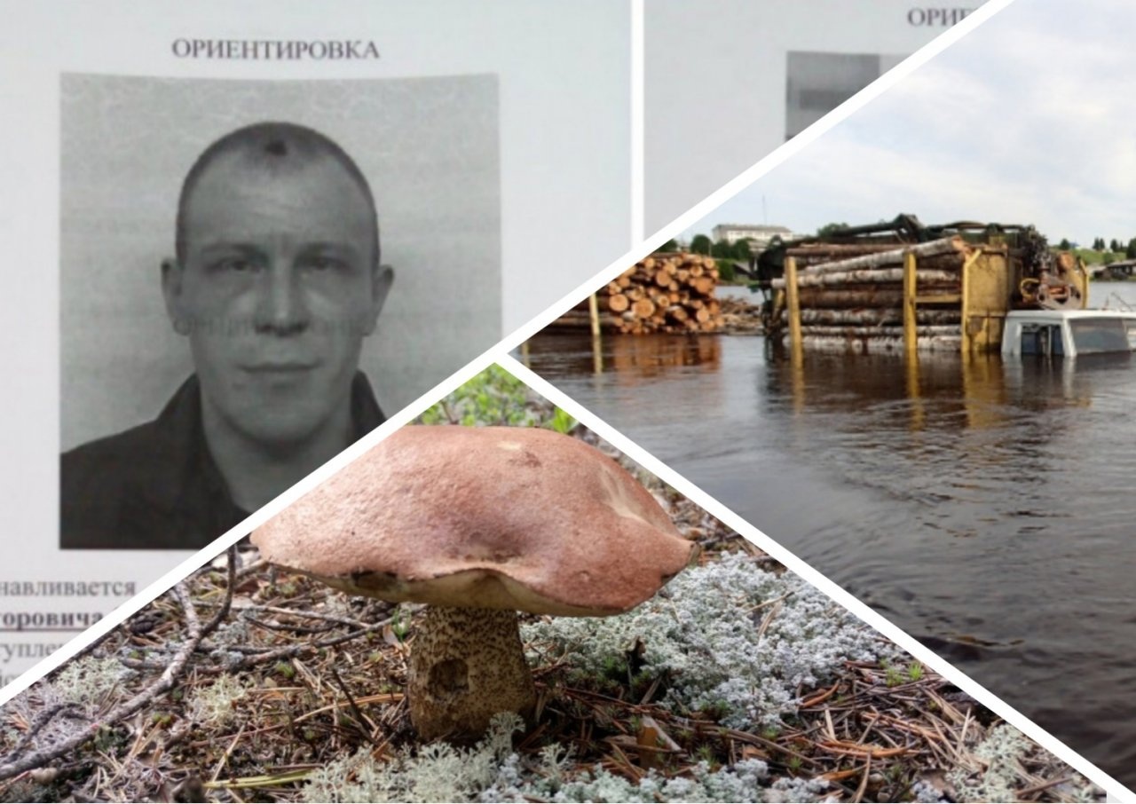 Итоги недели в Коми: жуткие потопы, суд над «печорскими» убийцами и урожай грибов
