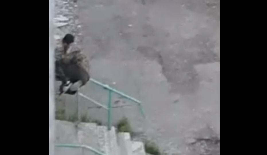 «Новый вид птиц»: житель Коми спал на перилах, как на жердочке (видео)