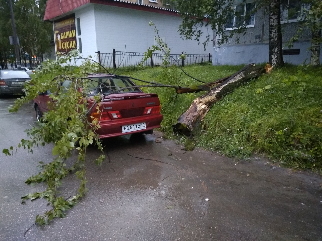 Фото дня в Сыктывкаре: тополь упал на машину