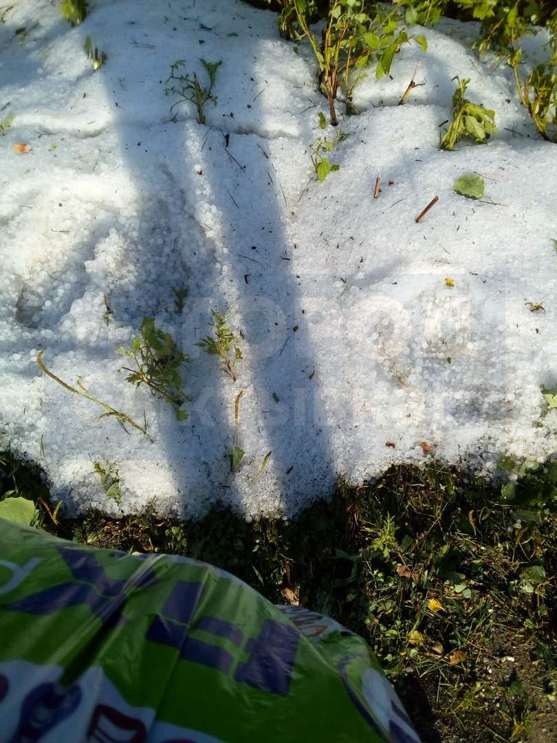 В Коми придут заморозки: жителям советуют спасать посевы