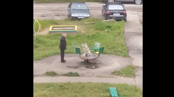 Милое видео: в Коми мужчина устроил своей собаке головокружительный аттракцион