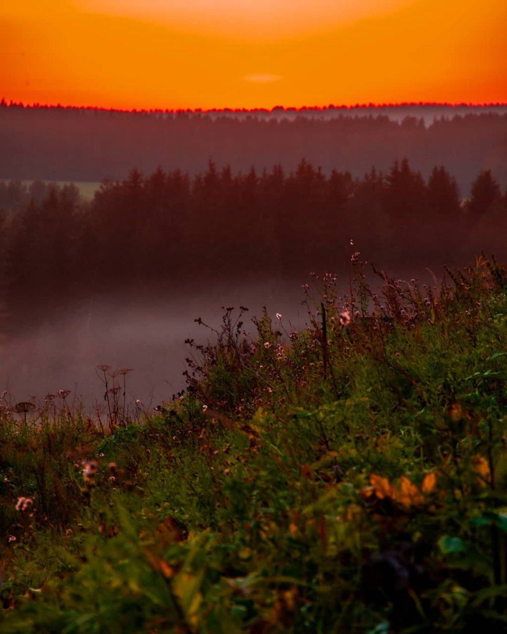 Фото дня в Сыктывкаре: пламенный закат наступающей осени