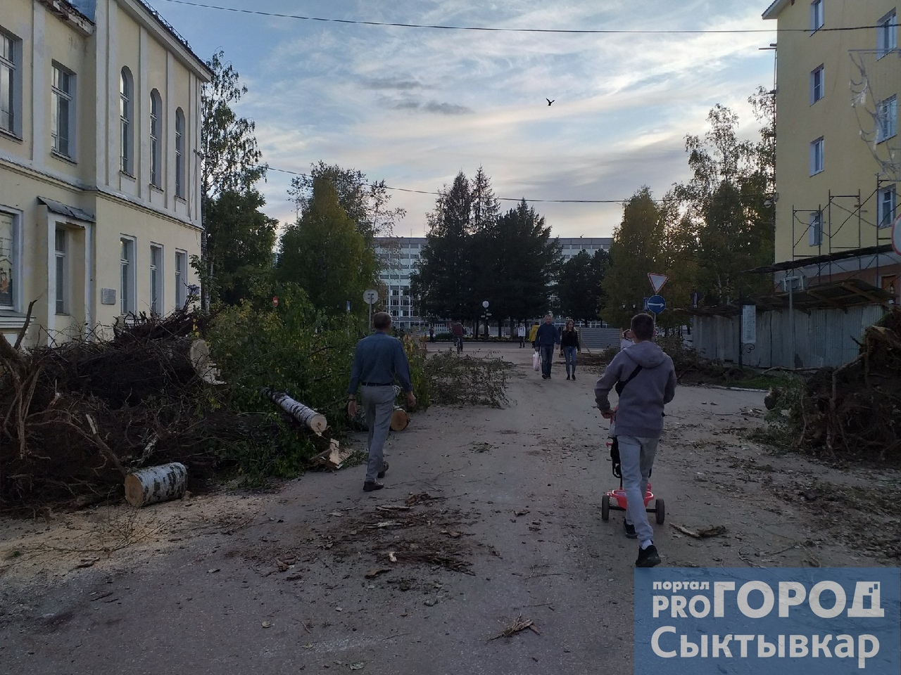 Выяснилось, зачем на одной из улиц Сыктывкара массово срубили деревья