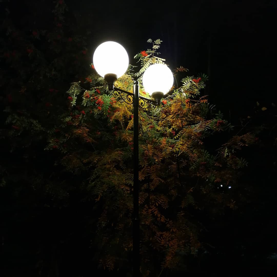 Фото дня в Сыктывкаре: сказочный фонарь под осенней рябиной