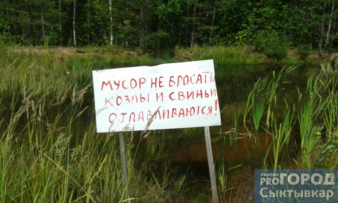 Фото дня в Сыктывкаре: борцы за экологию объявили об отлове «свиней» и «козлов»