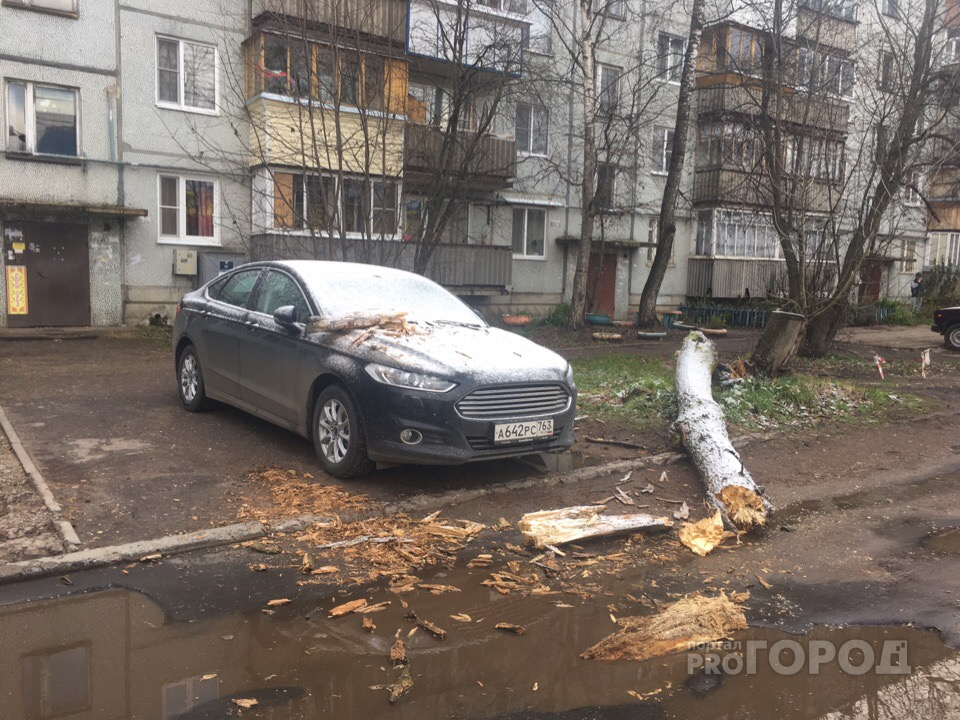 Шторм в Сыктывкаре: улетела остановка, а на машину рухнуло дерево (фото)