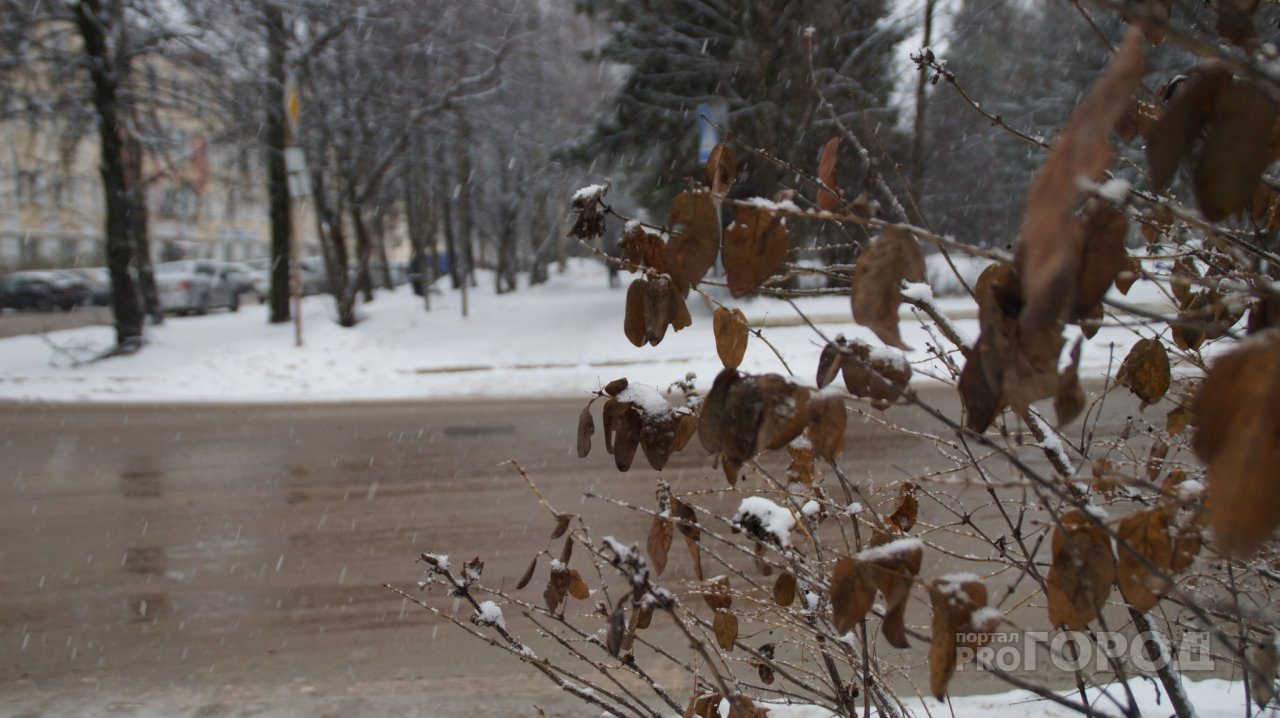 Погода в Сыктывкаре на 3 ноября: в город придет южный ветер и небольшой снег