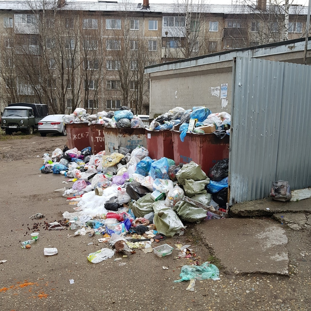 Не вывозят мусор: куда звонить, чтобы двор не превратился в главную помойку Сыктывкара