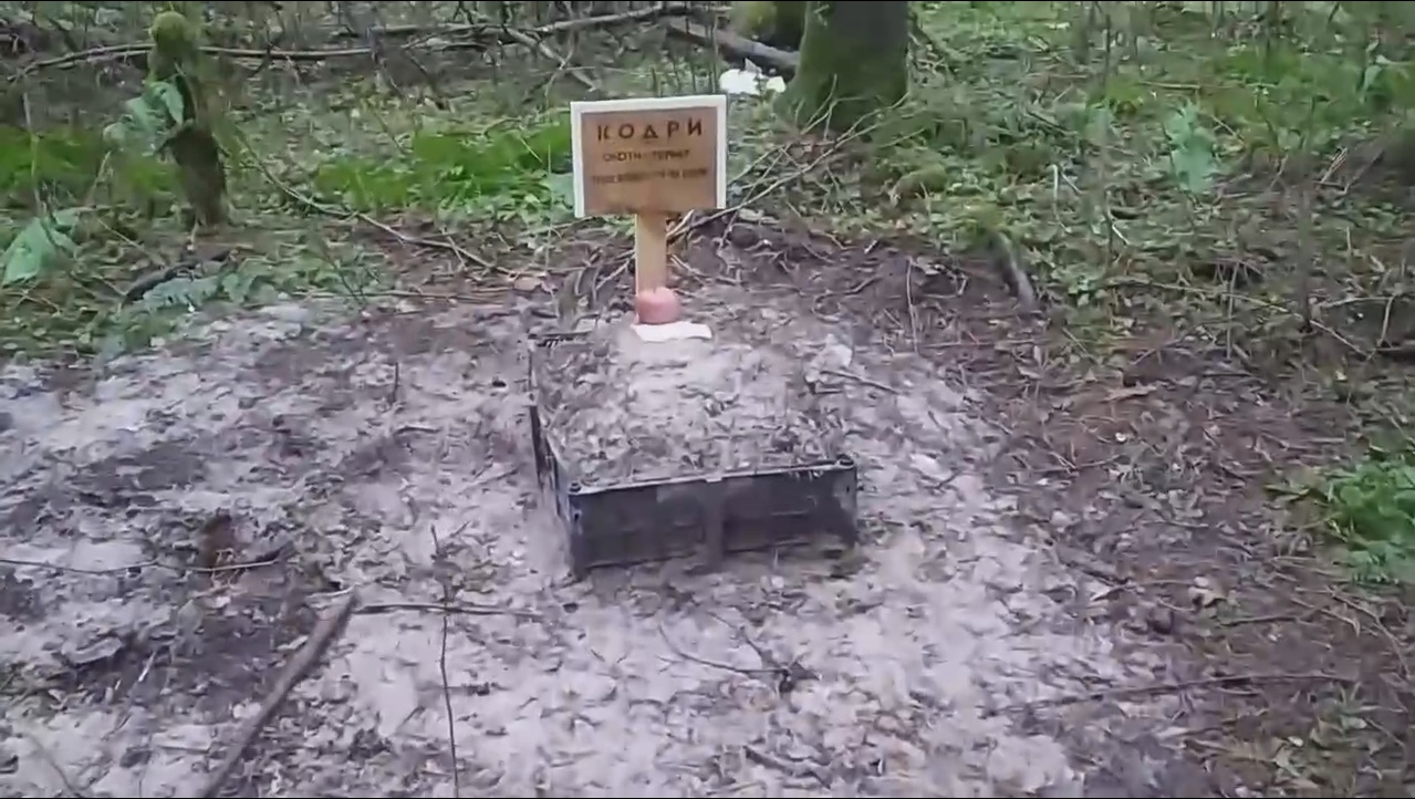 Двадцать маленьких могилок: сыктывкарка нашла незаконное кладбище животных