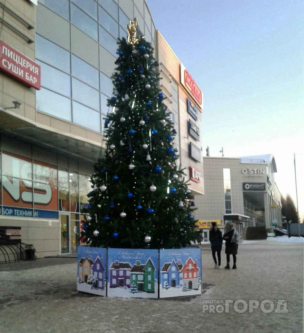 Фото дня в Сыктывкаре: в городе появляются первые новогодние елки