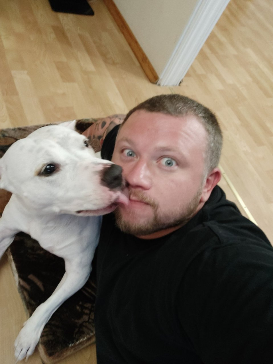 Сыктывкарец ведет трогательный блог о своей собаке-инвалиде (видео)