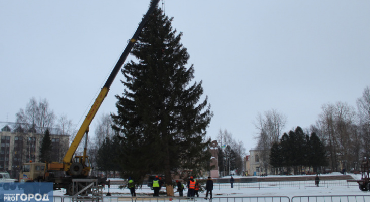 Стало известно, когда в Сыктывкар привезут главную новогоднюю елку