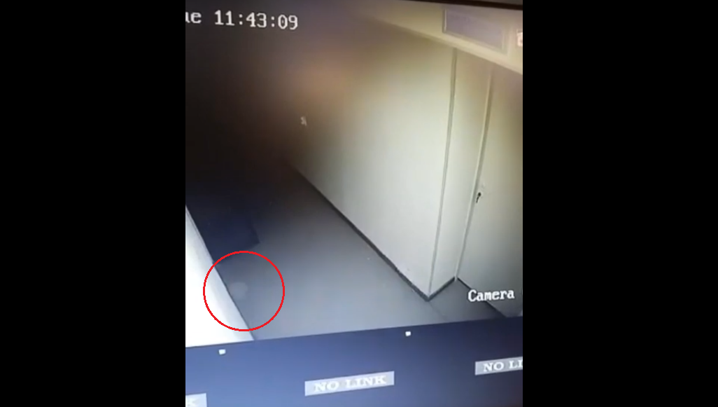 «Следы появлялись и исчезали»: сыктывкарцев шокировала запись с камеры наблюдения (видео)