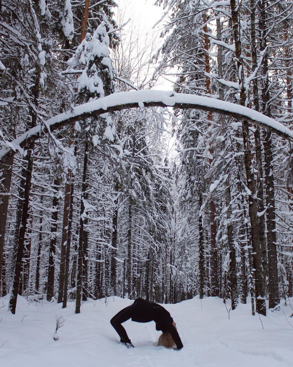 Фото дня в Сыктывкаре: лесная гимнастика